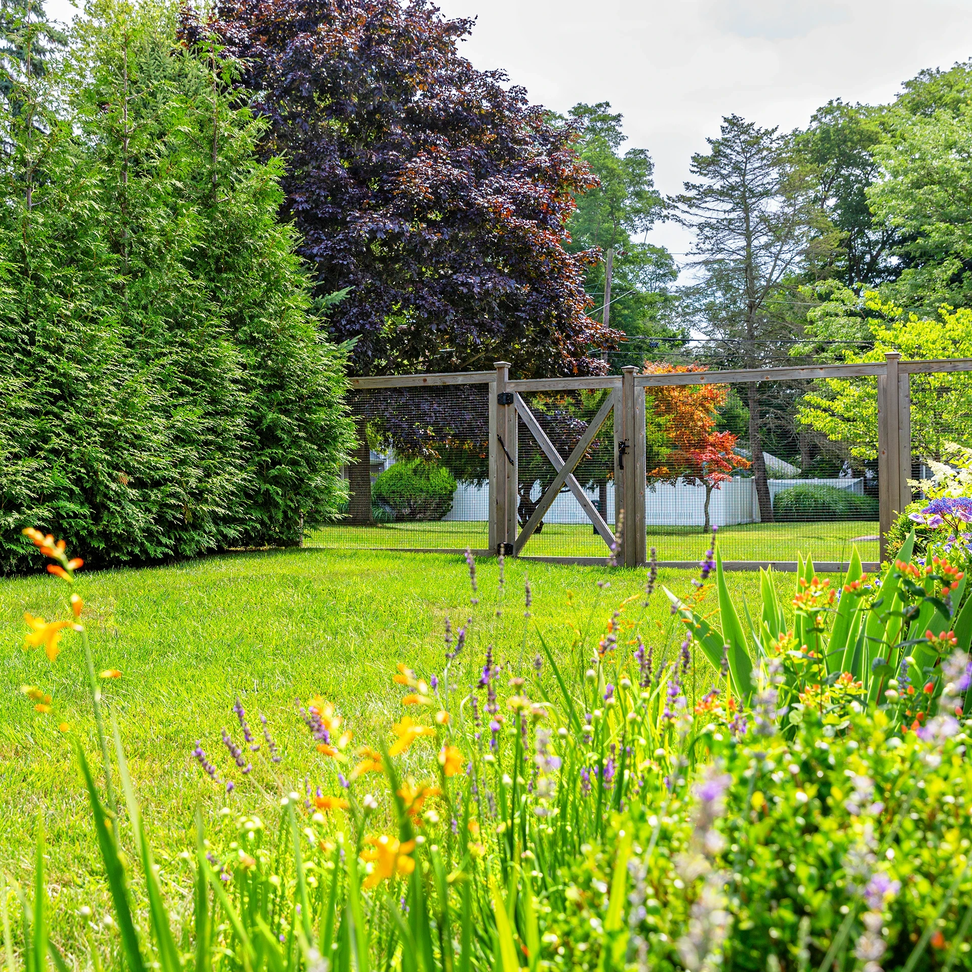 Property maintenance and landscaping in Long Island